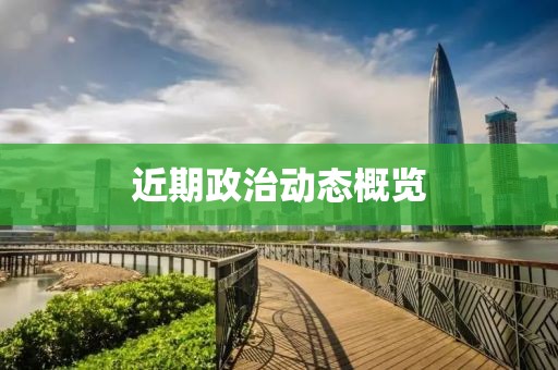 近期政治动态概览