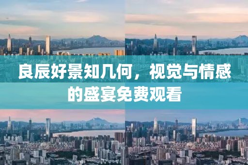 良辰好景知几何，视觉与情感的盛宴免费观看