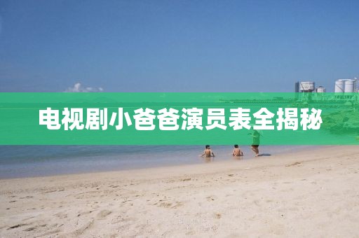 电视剧小爸爸演员表全揭秘