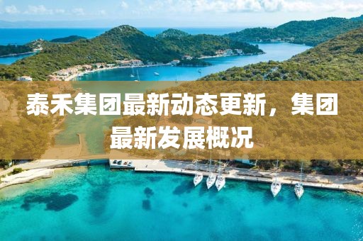泰禾集团最新动态更新，集团最新发展概况