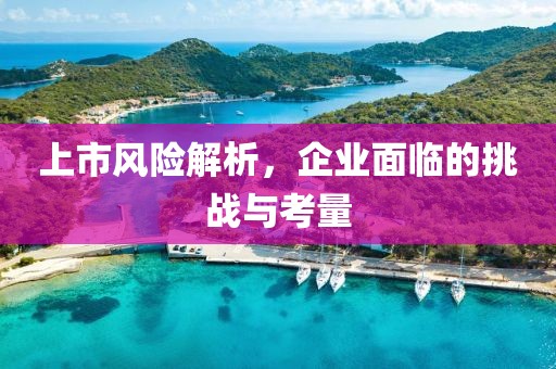 上市风险解析，企业面临的挑战与考量