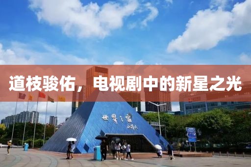 道枝骏佑，电视剧中的新星之光