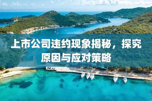 上市公司违约现象揭秘，探究原因与应对策略
