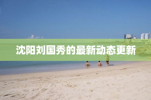 沈阳刘国秀的最新动态更新