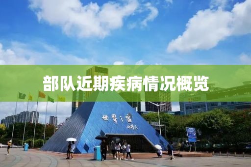 部队近期疾病情况概览