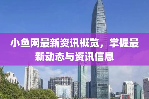小鱼网最新资讯概览，掌握最新动态与资讯信息