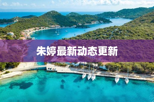 朱婷最新动态更新
