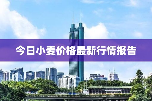 今日小麦价格最新行情报告