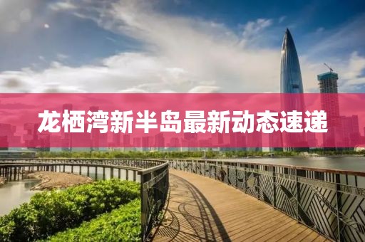 龙栖湾新半岛最新动态速递