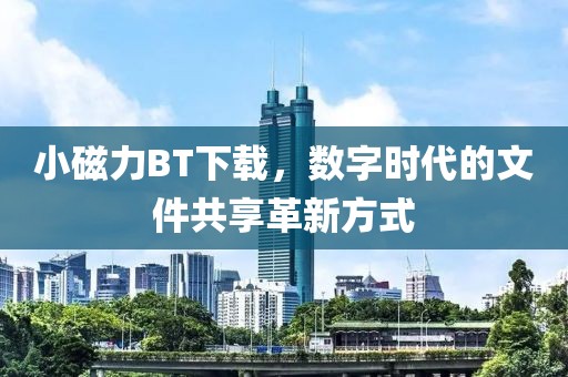 小磁力BT下载，数字时代的文件共享革新方式