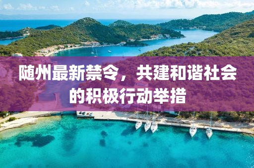 随州最新禁令，共建和谐社会的积极行动举措