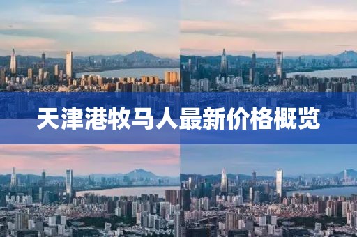 天津港牧马人最新价格概览