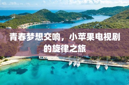 青春梦想交响，小苹果电视剧的旋律之旅