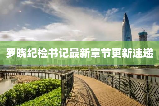 罗晓纪检书记最新章节更新速递