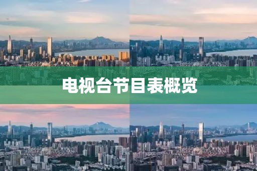 电视台节目表概览