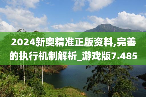 2024新奥精准正版资料,完善的执行机制解析_游戏版7.485