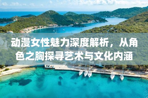 动漫女性魅力深度解析，从角色之胸探寻艺术与文化内涵