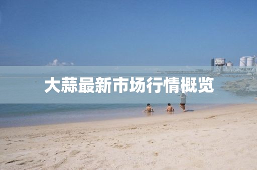 大蒜最新市场行情概览
