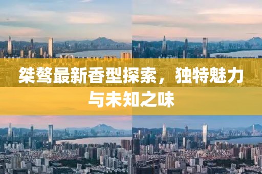 桀骜最新香型探索，独特魅力与未知之味