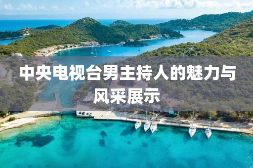 中央电视台男主持人的魅力与风采展示