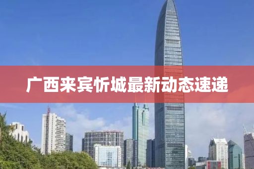 广西来宾忻城最新动态速递