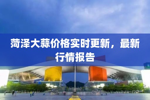 菏泽大蒜价格实时更新，最新行情报告