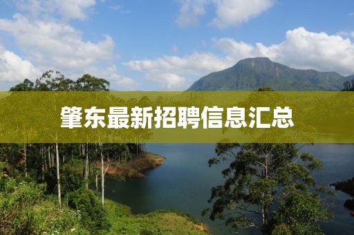 肇东最新招聘信息汇总