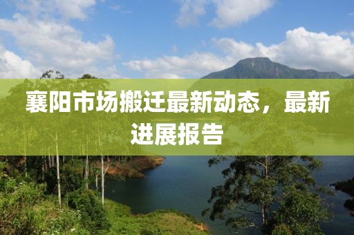 襄阳市场搬迁最新动态，最新进展报告