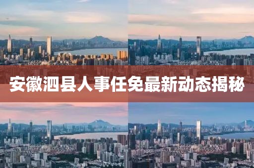 安徽泗县人事任免最新动态揭秘