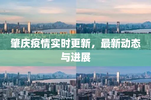 肇庆疫情实时更新，最新动态与进展