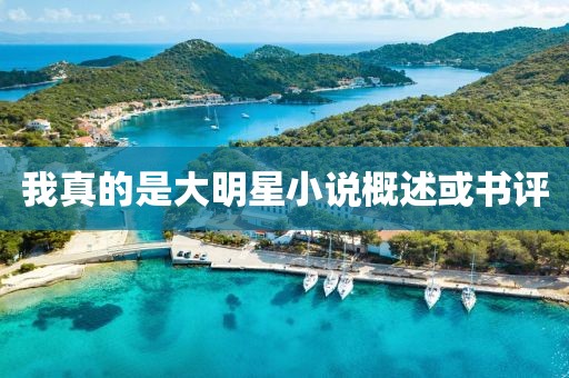 我真的是大明星小说概述或书评