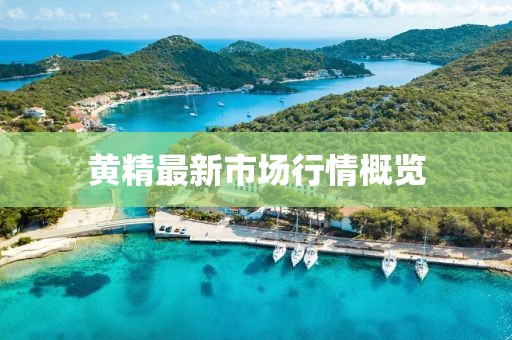 针怀芹 第3页