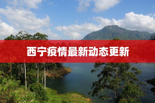 西宁疫情最新动态更新