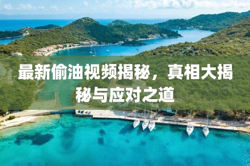 最新偷油视频揭秘，真相大揭秘与应对之道