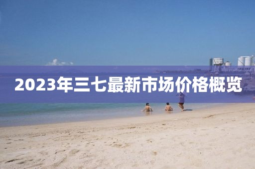 2023年三七最新市场价格概览