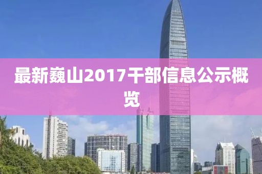 最新巍山2017干部信息公示概览