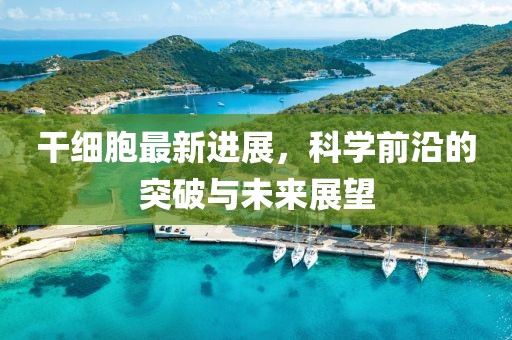 干细胞最新进展，科学前沿的突破与未来展望