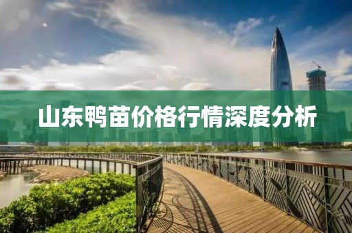 山东鸭苗价格行情深度分析