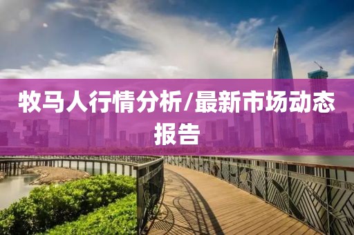 牧马人行情分析/最新市场动态报告