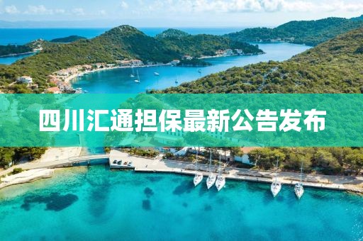 四川汇通担保最新公告发布