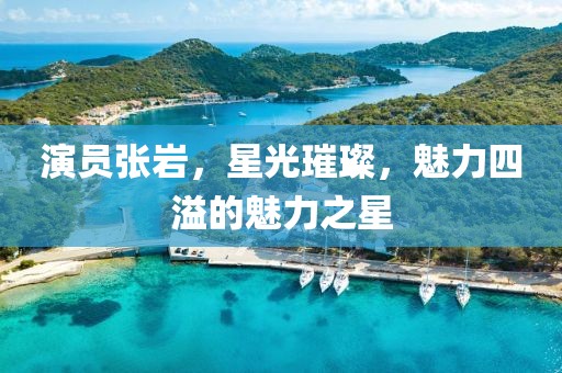 演员张岩，星光璀璨，魅力四溢的魅力之星