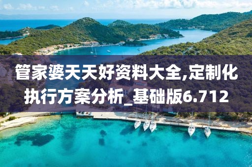 管家婆天天好资料大全,定制化执行方案分析_基础版6.712