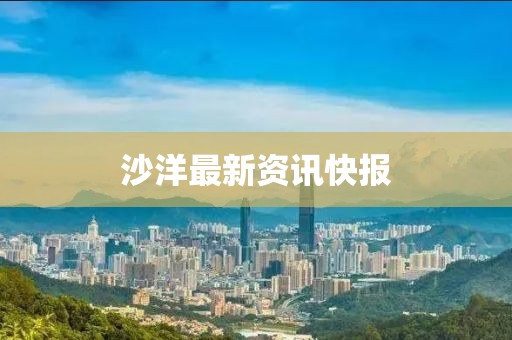沙洋最新资讯快报