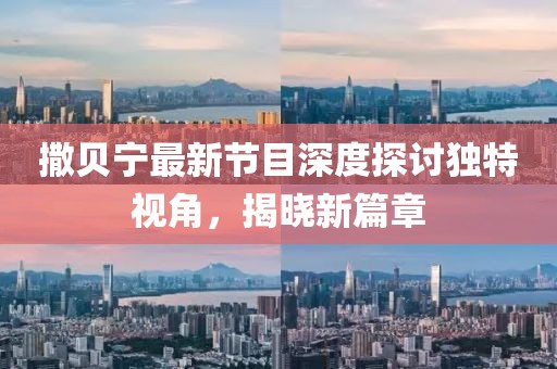 撒贝宁最新节目深度探讨独特视角，揭晓新篇章