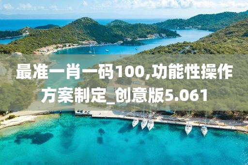最准一肖一码100,功能性操作方案制定_创意版5.061