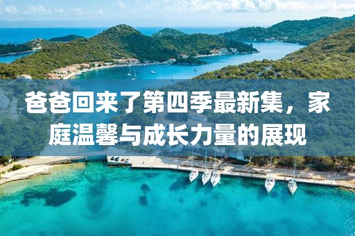 爸爸回来了第四季最新集，家庭温馨与成长力量的展现