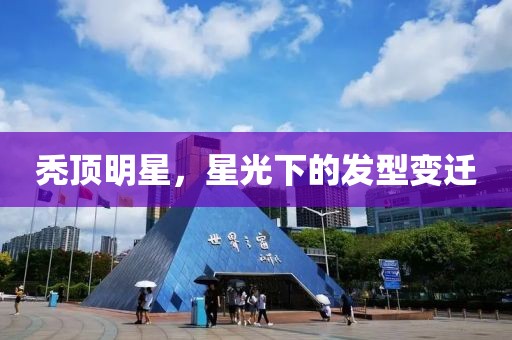 秃顶明星，星光下的发型变迁