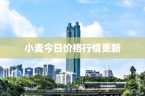 小麦今日价格行情更新