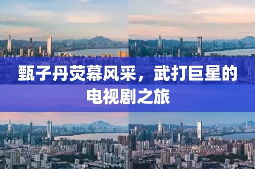 甄子丹荧幕风采，武打巨星的电视剧之旅