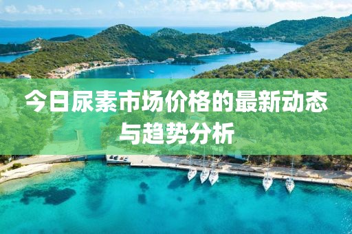 今日尿素市场价格的最新动态与趋势分析